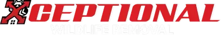 Xceptional Wildlife